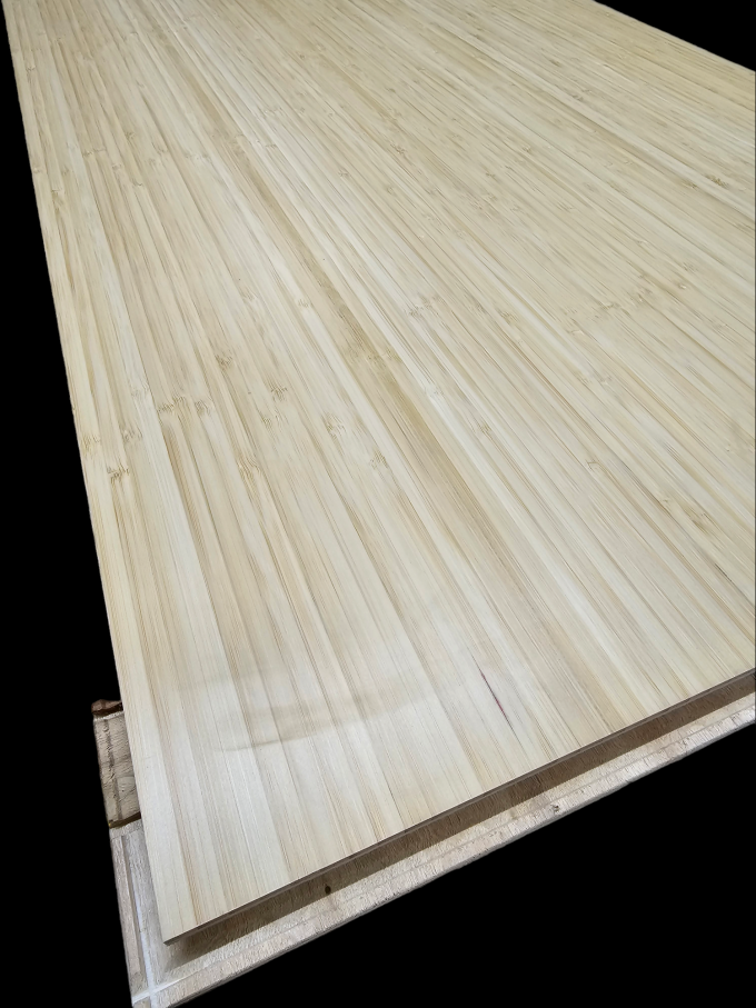 PhotoRoom-20240201_135829