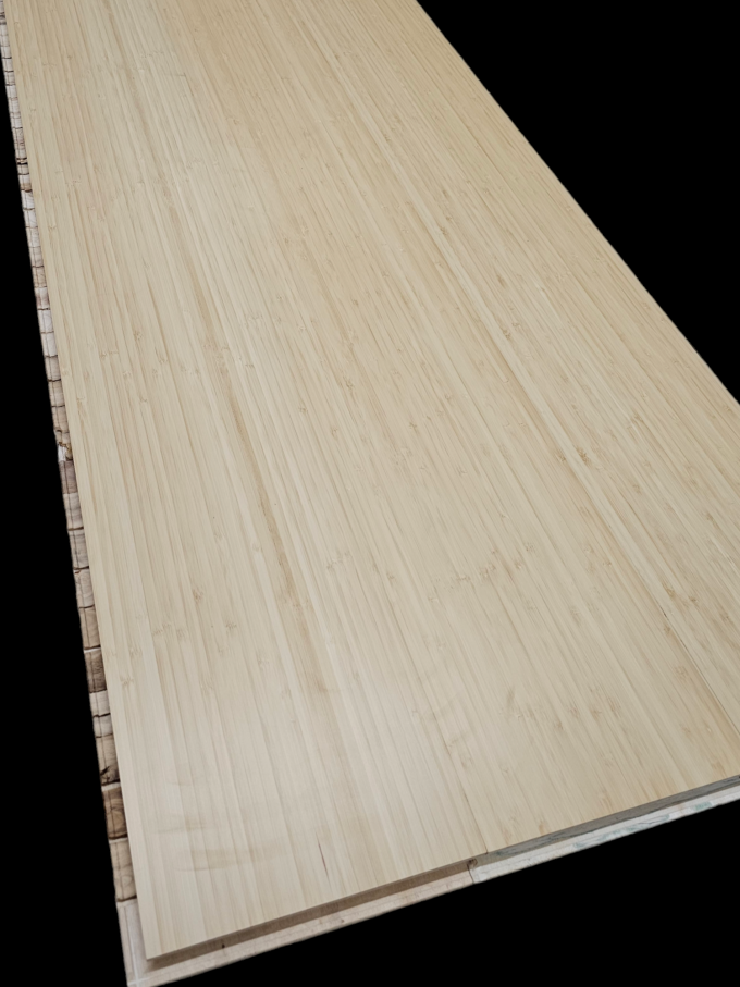 PhotoRoom-20240201_135904