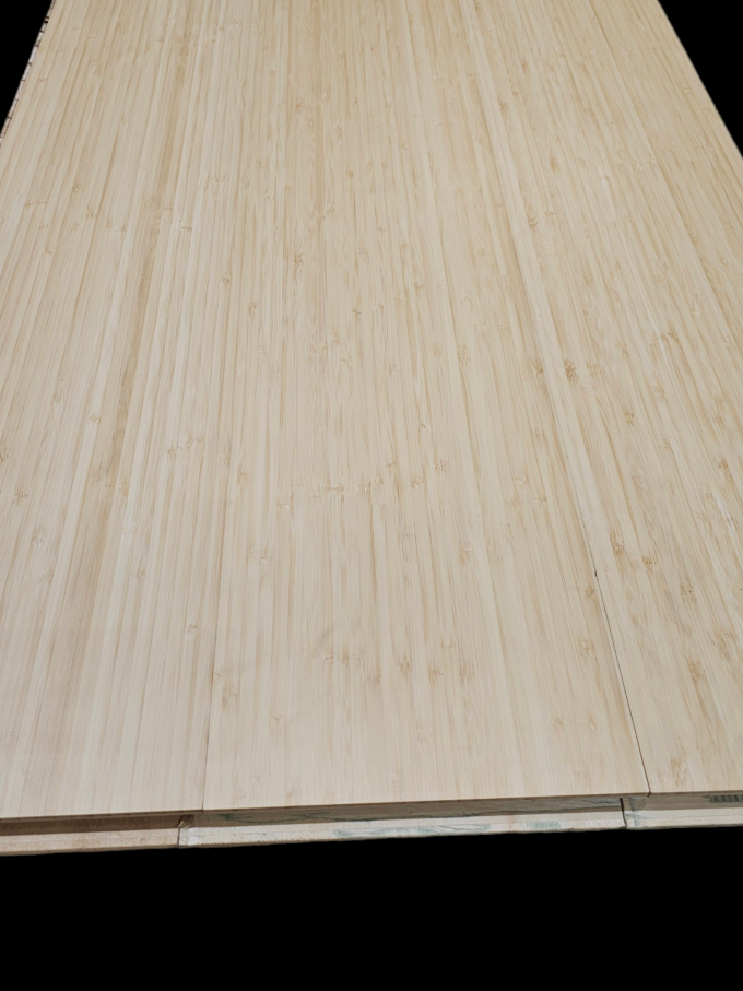 PhotoRoom-20240201_135956 (1)